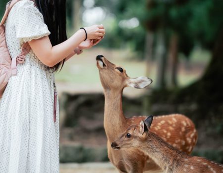 Fashion Exhibitions You Shouldn’t Miss In Summer